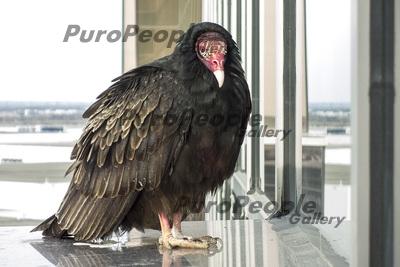 cd23bded4e279932e975a82897d1